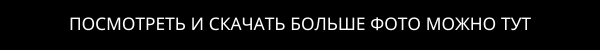 Посмотреть и скачать фото можно тут.png