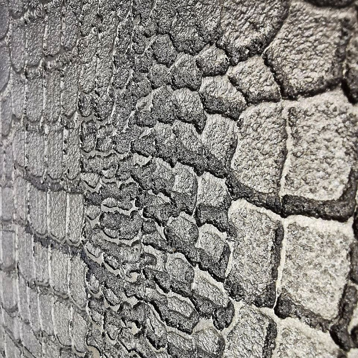 "ЗМЕИНАЯ КОЖА"